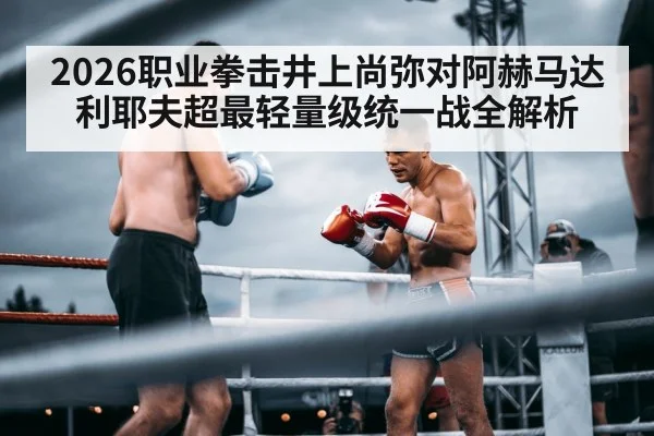 professional boxers fighting